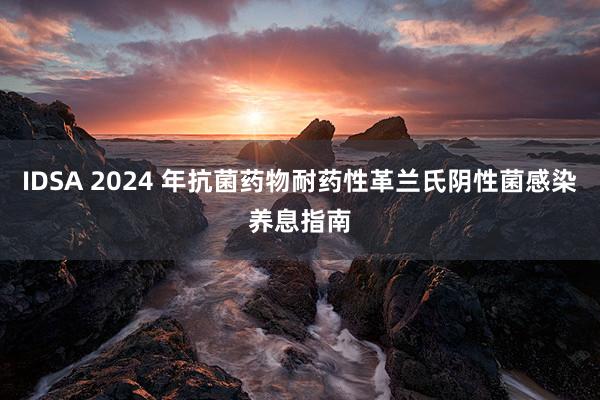 IDSA 2024 年抗菌药物耐药性革兰氏阴性菌感染养息指南