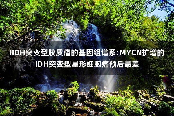 IIDH突变型胶质瘤的基因组谱系:MYCN扩增的IDH突变型星形细胞瘤预后最差