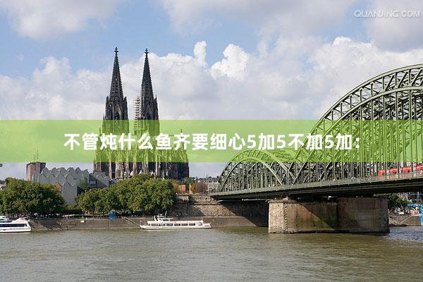 不管炖什么鱼齐要细心5加5不加5加：