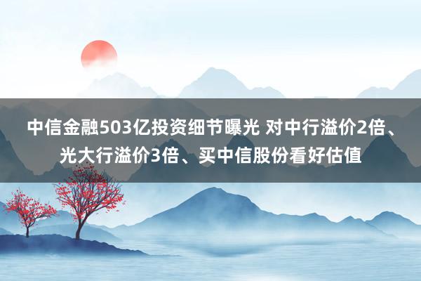 中信金融503亿投资细节曝光 对中行溢价2倍、光大行溢价3倍、买中信股份看好估值