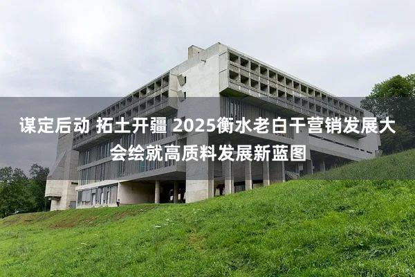 谋定后动 拓土开疆 2025衡水老白干营销发展大会绘就高质料发展新蓝图